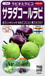 サラダコールラビ　ラビオとラビコ