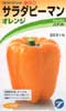 サラダピーマン　オレンジ