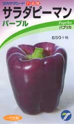 サラダピーマン　パープル