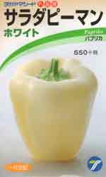 サラダピーマン　ホワイト