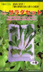 サラダセット