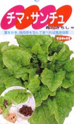 チマ・サンチュ