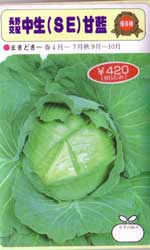 中生（SE）甘藍