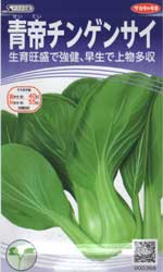 青帝チンゲンサイ