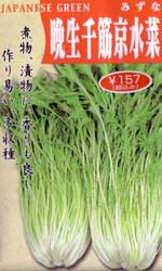 晩生千筋京水菜