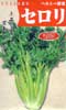 セルリー（コーネル619）