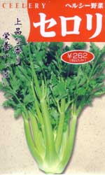 セルリー（コーネル619）
