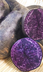 シャドークイーン