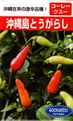 沖縄島とうがらし