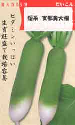 うえだみどり大根
