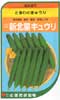 新北星キュウリ