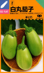 白丸茄子