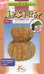 鹿ヶ谷かぼちゃ