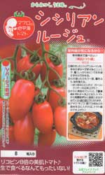 シシリアン　ルージュ