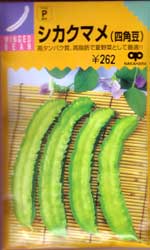 シカクマメ（四角豆）