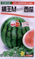 縞王M（マックス）