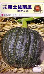 改良新土佐一号