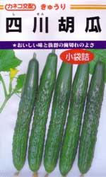 四川胡瓜