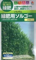 緑肥用ソルゴー