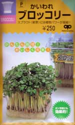 かいわれブロッコリー