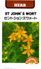 セントジョーンズウォート