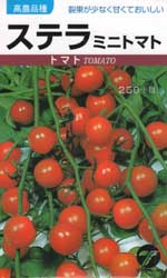 ステラ　ミニトマト