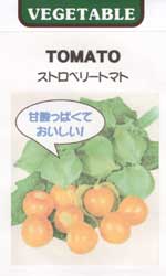 ストロベリートマト（食用トマトホウズキ）