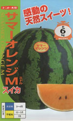 サマーオレンジ　ミドル