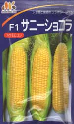 サニーショコラ