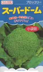 スーパードーム