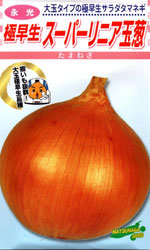 スーパーリニア玉葱