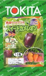 スイートカメレオン　ミニ