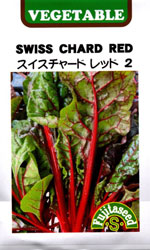 スイスチャード　レッド2