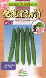 聖護院きゅうり