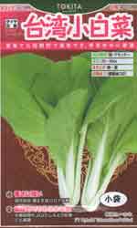 台湾小白菜