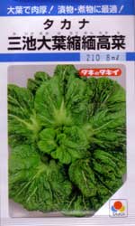 三池大葉縮緬高菜