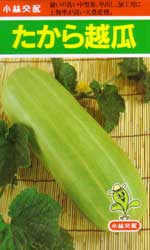 たから越瓜