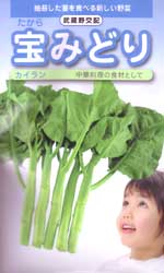 宝みどり