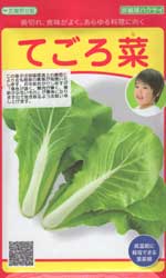 てごろ菜