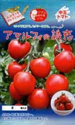 アマルフィの誘惑