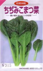 ちぢみこまつ菜