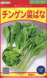 チンゲン菜ばな