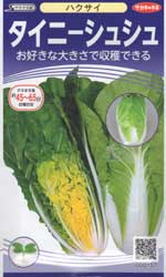 タイニーシュシュ