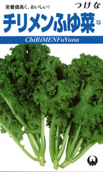 チリメンふゆ菜