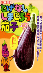とげなししまじろう茄子