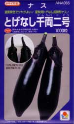 とげなし千両二号