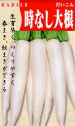 時なし大根