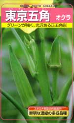 東京五角