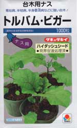 トルバム・ビガー（ハイダッシュシード）