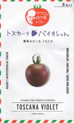トスカーナ　バイオレット